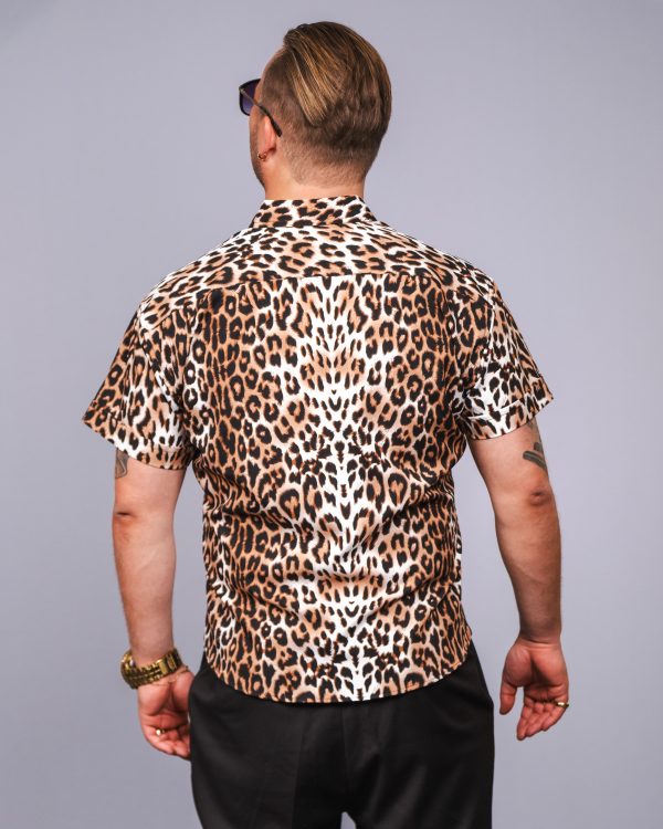 Leopard lover bak